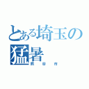 とある埼玉の猛暑（熊谷市）