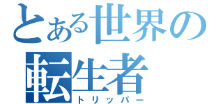 とある世界の転生者（トリッパー）