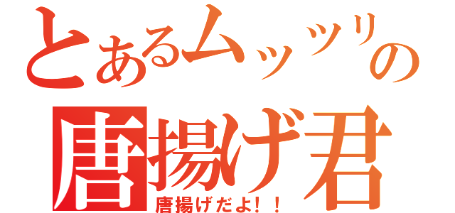 とあるムッツリの唐揚げ君（唐揚げだよ！！）