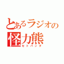 とあるラジオの怪力熊（セトパンダ）