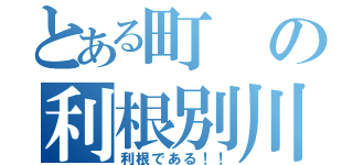 とある町の利根別川（利根である！！）