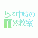 とある中坊の自然教室（）