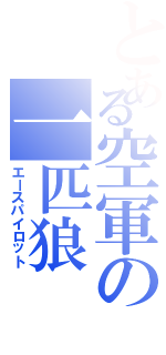 とある空軍の一匹狼（エースパイロット）