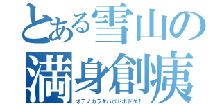 とある雪山の満身創痍（オデノカラダハボドボドダ！）