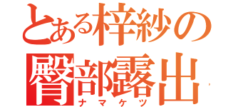 とある梓紗の臀部露出（ナマケツ）