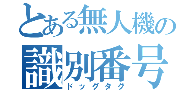 とある無人機の識別番号（ドッグタグ）