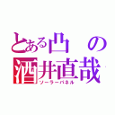 とある凸の酒井直哉（ソーラーパネル）