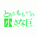 とあるももクロの小さな巨人（ももか）