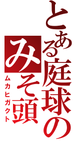 とある庭球のみそ頭（ムカヒガクト）