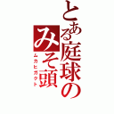 とある庭球のみそ頭（ムカヒガクト）