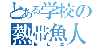 とある学校の熱帯魚人（梅田篤）