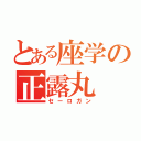 とある座学の正露丸（セーロガン）