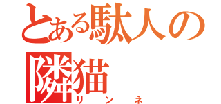 とある駄人の隣猫（リンネ）