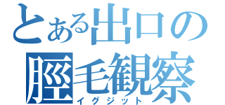 とある出口の脛毛観察（イグジット）