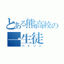 とある熊高校の一生徒（バイソン）