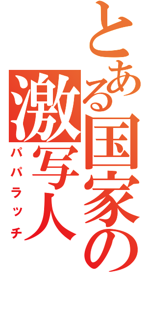 とある国家の激写人（パパラッチ）