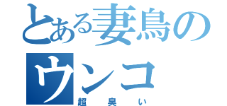 とある妻鳥のウンコ（超臭い）