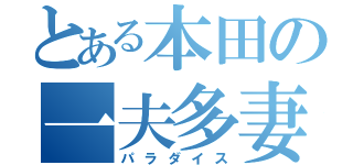 とある本田の一夫多妻（パラダイス）