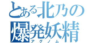 とある北乃の爆発妖精（アグノム）