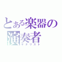 とある楽器の演奏者（ギタリスト）