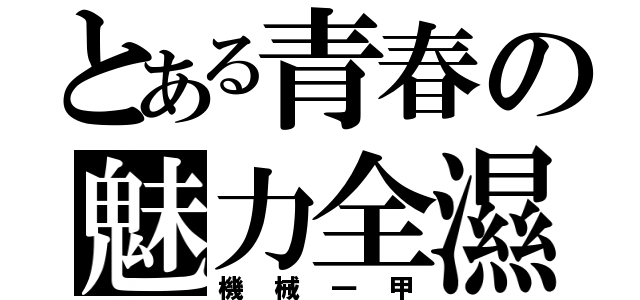 とある青春の魅力全濕（機械一甲）