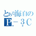 とある海自のＰ－３Ｃ（対潜）