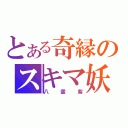 とある奇縁のスキマ妖怪（八雲紫）