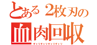 とある２枚刃の血肉回収（ギャリギャリギャリギャリ）