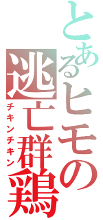 とあるヒモの逃亡群鶏（チキンチキン）