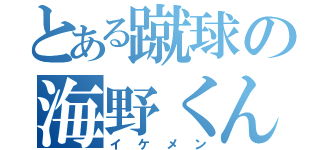 とある蹴球の海野くん（イケメン）