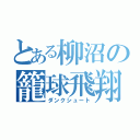 とある柳沼の籠球飛翔（ダンクシュート）