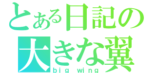 とある日記の大きな翼（ｂｉｇ ｗｉｎｇ）