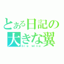 とある日記の大きな翼（ｂｉｇ ｗｉｎｇ）