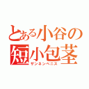 とある小谷の短小包茎（ザンネンペニス）