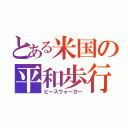 とある米国の平和歩行（ピースウォーカー）