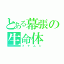 とある幕張の生命体（フナムシ）