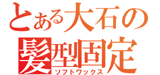 とある大石の髪型固定（ソフトワックス）