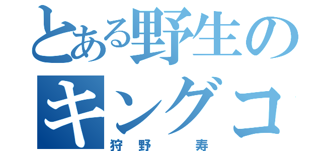 とある野生のキングコング（狩野 寿）