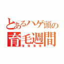 とあるハゲ頭の育毛週間（薄薄薄薄）