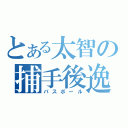 とある太智の捕手後逸（パスボール）