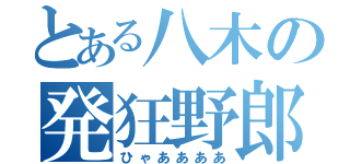 とある八木の発狂野郎（ひゃああああ）