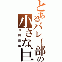 とあるバレー部の小さな巨人（日向翔陽）