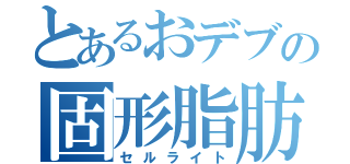 とあるおデブの固形脂肪（セルライト）