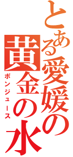 とある愛媛の黄金の水（ポンジュース）