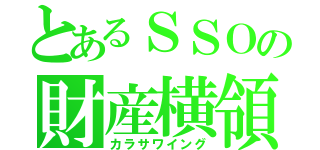 とあるＳＳＯの財産横領（カラサワイング）