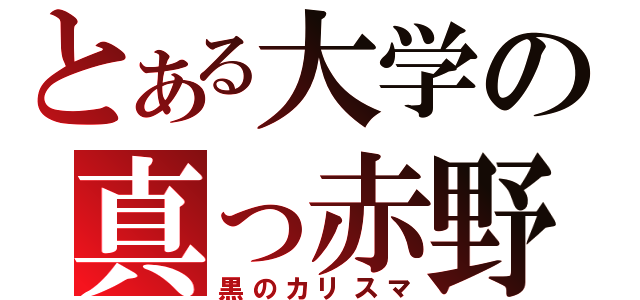 とある大学の真っ赤野朗（黒のカリスマ）