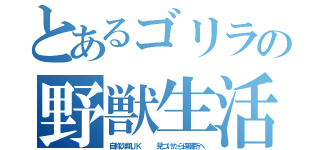 とあるゴリラの野獣生活（自称次期ＪＫ   見つけたら保健所へ）