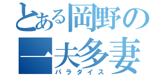 とある岡野の一夫多妻（パラダイス）