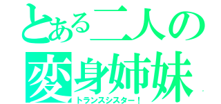 とある二人の変身姉妹（トランスシスター！）