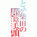 とある柴田の超陰毛頭（もじゃもじゃ）